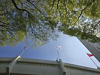 🌛 달려라 하니..