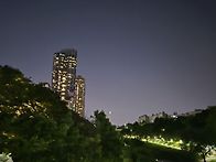 양재천의 밤