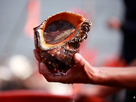 태안 구례포 캠핑