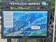 덕풍계곡 산행 물놀이