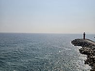 3.21.토.정동심곡부채길