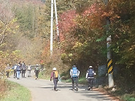 정선 민동산 산행