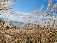 민둥산 사진