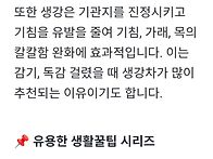 건강(완주봉동생강)30g×..