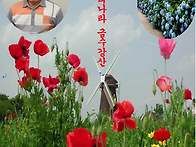 금수강산