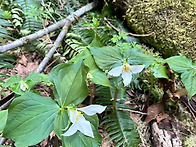 0410/2026 번개사진 산행..