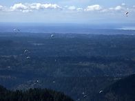 3월28일2026년 정기산행