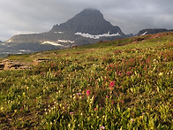 Glacier NP, Montan..