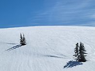 20260408 Mt.Rainie..