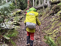 04/15/2026 수요산행 백패..