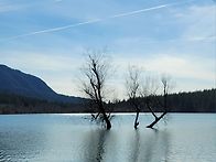 20260404 Rattlesna..