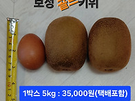 보성 골드키위 판매