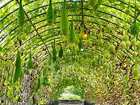 홍성군, 마을축제지원사업..