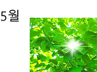 5월선교사 보고