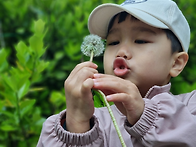 날아라, 얍(김명의 시인)