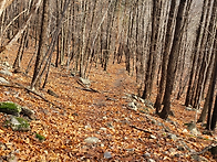 시간 여행(서경만 시인)