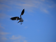 돌아섬의 미학(서윤 시인)