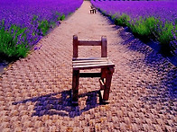 최윤서 디카시인-자연스럽..