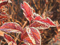 입김(이선근 시인)