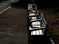 갈 곳 없는 노년(손병규 ..