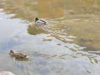 2026년3월 홍토리..