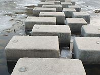 2026년1월2월 홍..