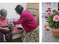 5월 8일 어버이날 카네이션..