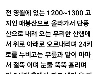 마가목을 아시나요?
