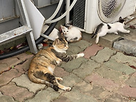 이젠 춥네요