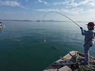 호래기, 학꽁치 잡으러