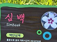 무궁화공원에서 1