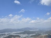 장산 봄날