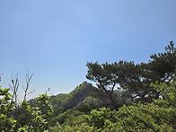 주지봉 철쭉 능선