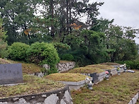 나는 부활이요 생명이니