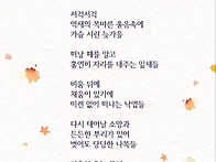 11월 메시지 -이규원님의 ..