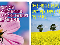 9월 메시지
