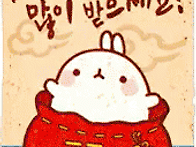 우리문화활동-설날