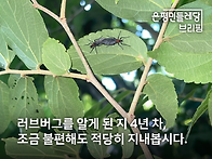 [브리핑] 2026/..