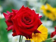5월 1일 수요일, 은린의 ..