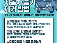 오늘의 생활 팁