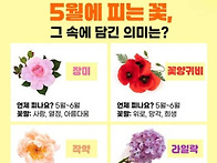 오늘의 '인연'