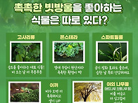 사람이 웃는다는 것