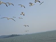 25.6.6.,7.8 2박3일 위..