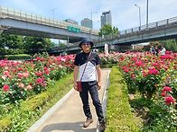 5월 24일 넷째주(일) 장..