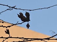 수업 끝 수업 끝