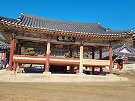 여주 오늘딸기 체험