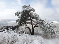 산행