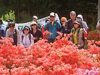 제 122차 보성일림산 정기..