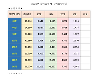 2025년 월 한도액..