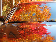 탈대로 다 타시오